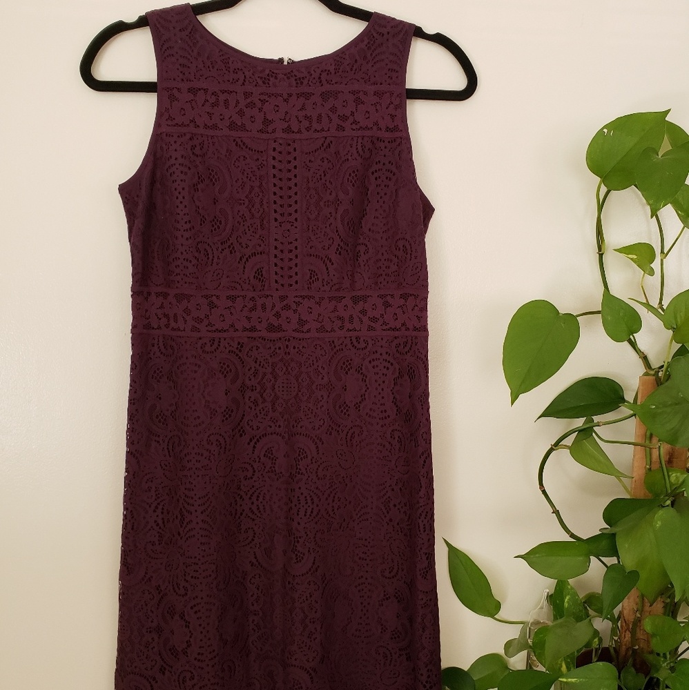 SOLD NWOT Loft Burgandy Lace Dress